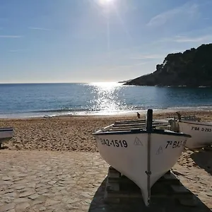 https://hotel-tamariu.topcostabravahotels.com